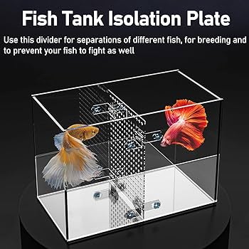 アクリル水槽　可動式セパレートタイプ　430×200×200 楽天市場】水槽 アクリル水槽 アクリルクリアタンク 天板